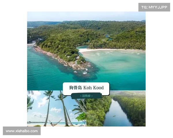 逃离沙滩攻略 逃离沙滩攻略